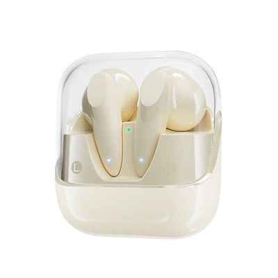 Bluetooth Earphone with DC5V Type-C and Lightning Charge Port