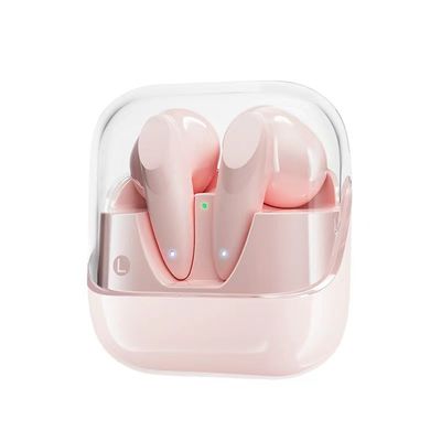 Bluetooth Earphone with DC5V Type-C and Lightning Charge Port
